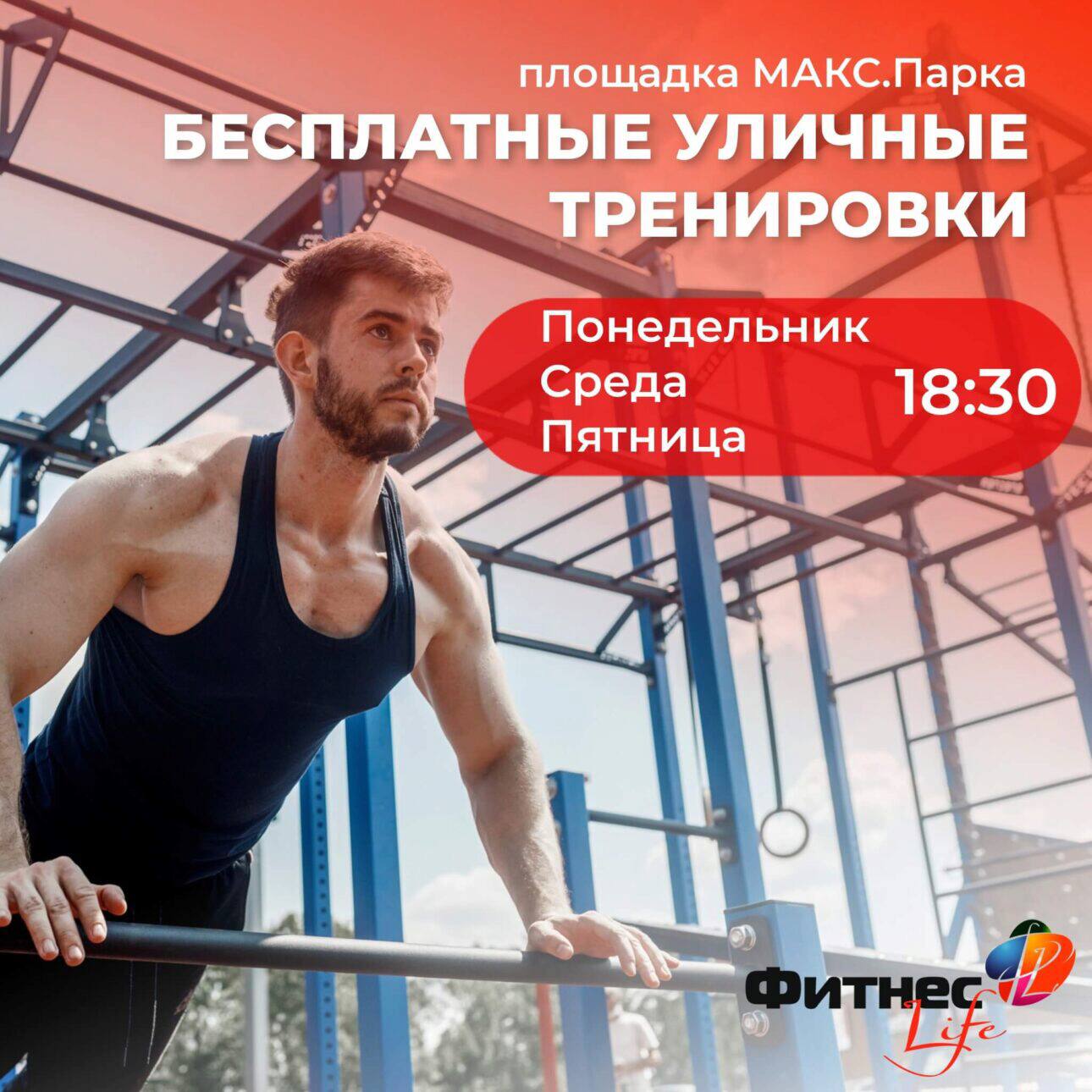 Плинтович схема тренировок